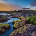 “The villagers…they still believe that U Thlen will shape-shift into anything”: How my Mawsynram trip gave me mini nightmares | – The Times of India