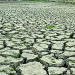 El Nino may hit India’s monsoon, hotter months ahead, says WMO | India News – The Times of India