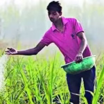India Fertilizer Supply 2026: Gulf conflict: LNG squeeze may impact urea output ahead of kharif season | India News – The Times of India