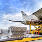 Uae: LuLu Group airlifts 80,000kg of Indian produce to UAE to keep supermarket shelves stocked | World News – The Times of India