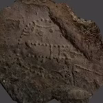 A 1,000-year-old structure found under Norway’s sea may reveal how whales were once trapped | World News – The Times of India