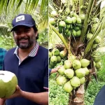 From Barren Land to Lush Coconut Farm, How R Madhavan Turned a Farming Dream into Reality – Woman’s era Magazine