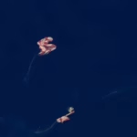 Nasa’s Artemis II crew returns to Earth with Pacific splashdown near California’s San Diego – The Times of India